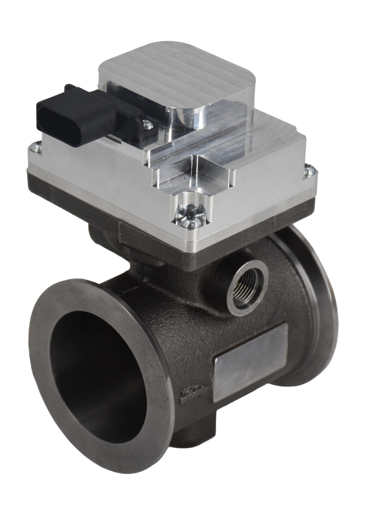 Hot side egr valve