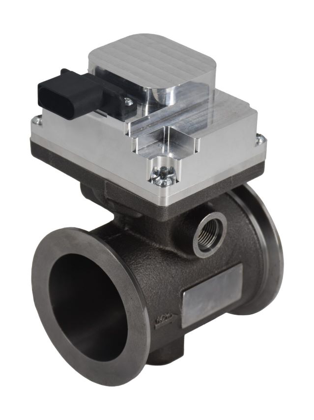 Hot Side EGR Valve